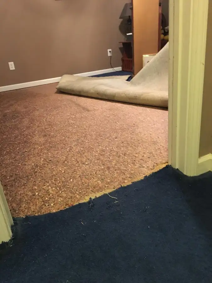 Carpet pad removal revealing water damage during Drying & Dehumidification in Bonadelle Ranchos