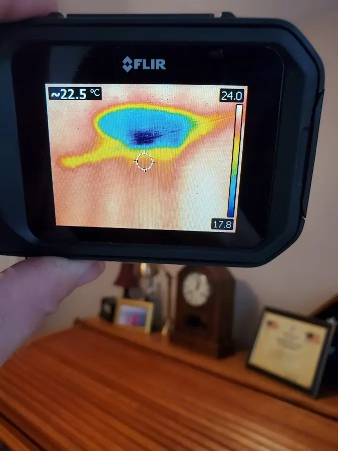 Thermal imaging inspection for water damage in Bonadelle Ranchos